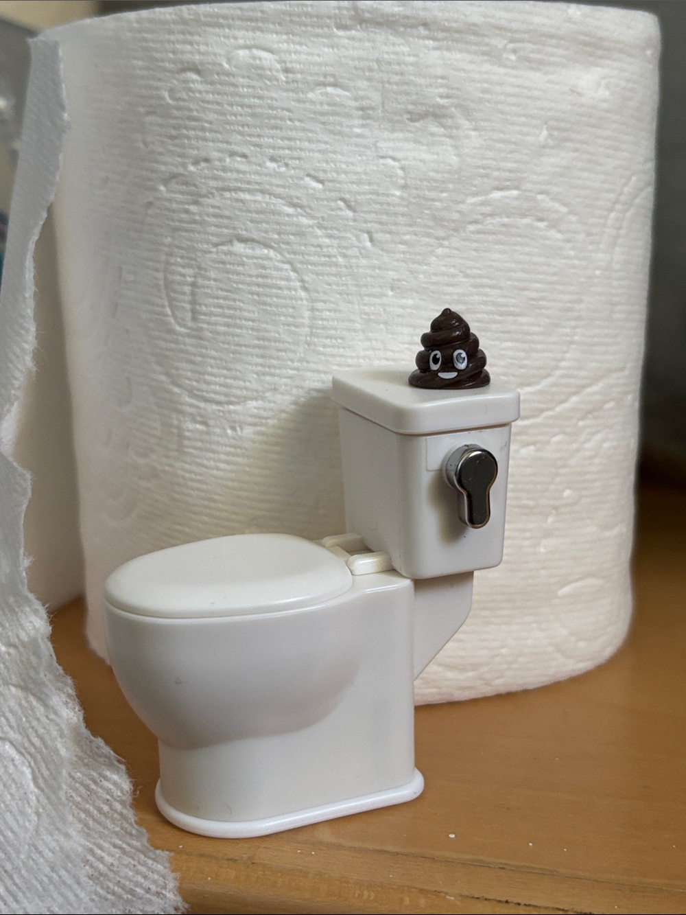 Miniature Flushing Noise Toilet with Poop Emoji